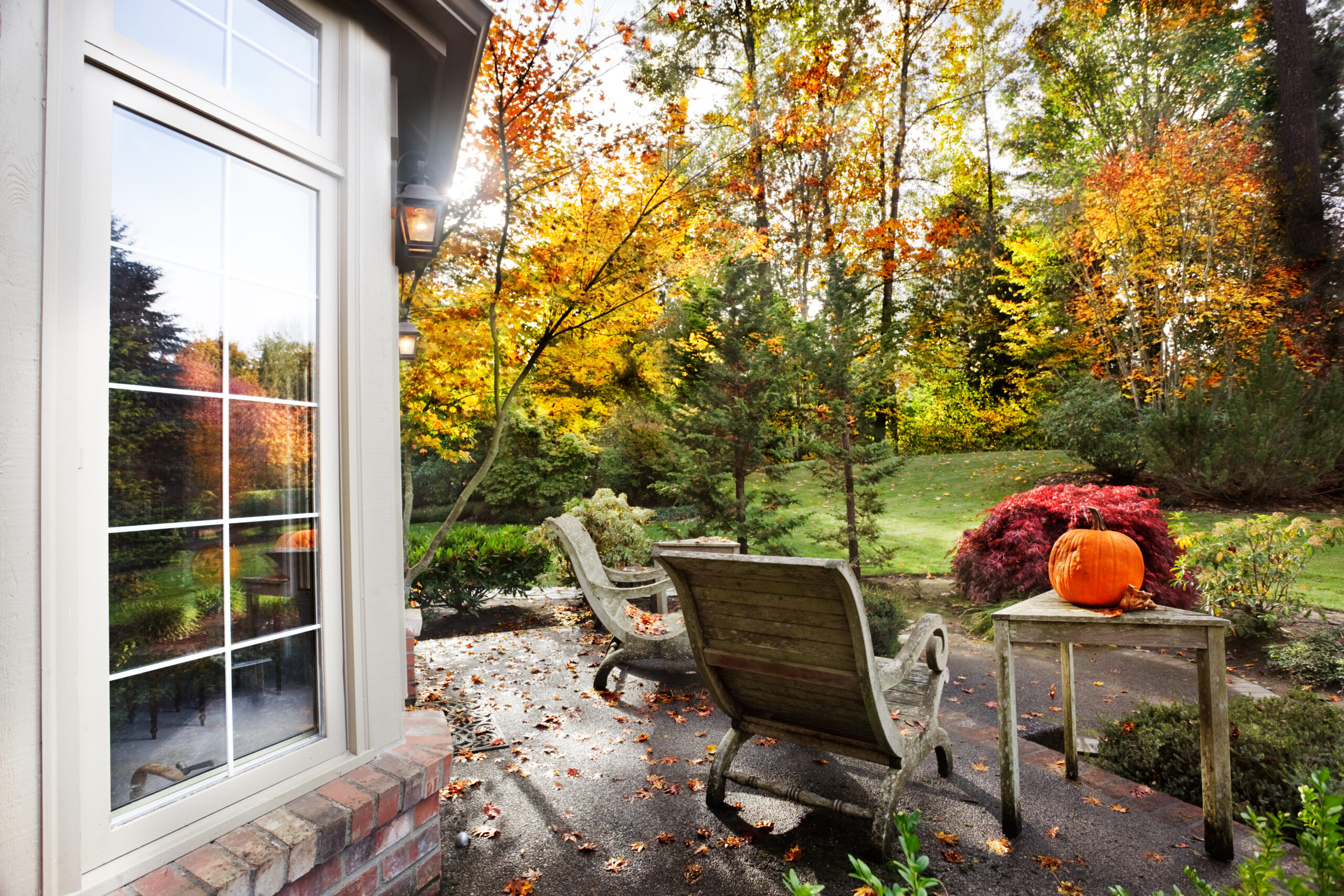 Preparing your Backyard for Fall
